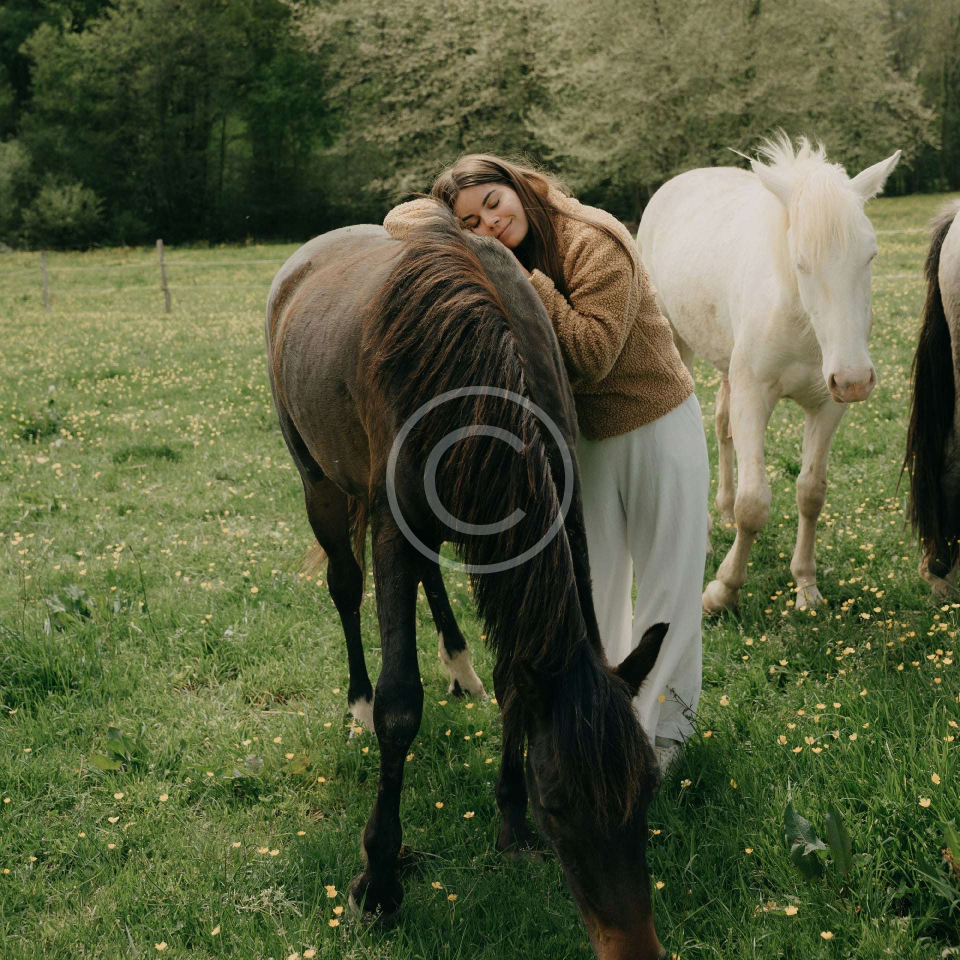 Hammam Oriental (30min)